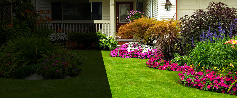 Canoga Park Landscapers